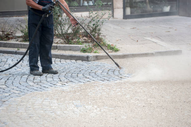 Best Pre-Holiday Cleaning  in Pilot Mountain, NC